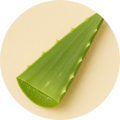 Aloe Barbadensis Leaf Juice 
