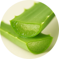 Aloe Vera Extract