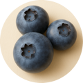 Blueberry Extract