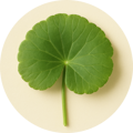 Centella Asiatica Extract