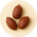 Simmondsia Chinensis (Jojoba) Seed Oil
